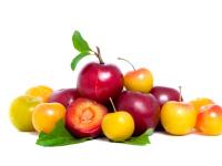 How Many Calories Are In A Plum?